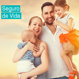 cotação-e-contratação-online-de-seguro-de-vida